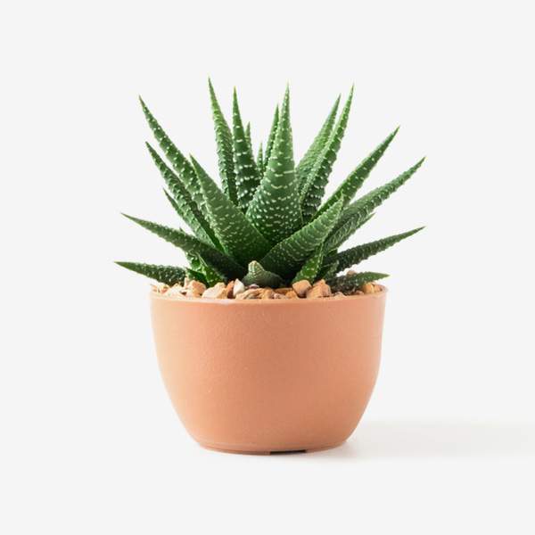 Koss KPH7 Portable Headphone