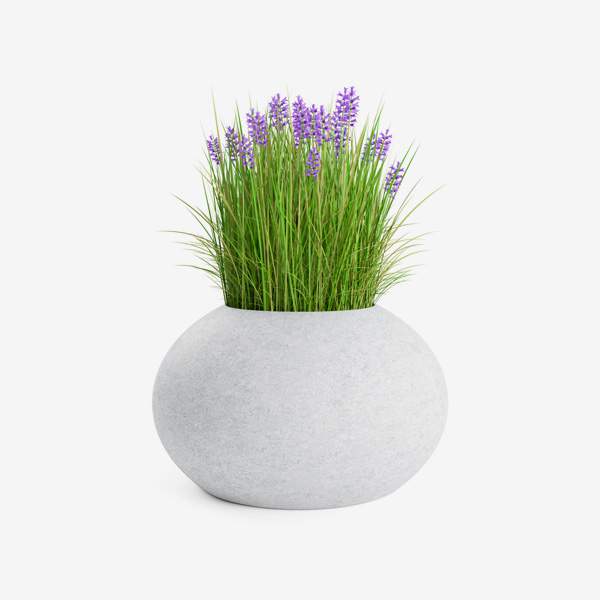 Koss Porta Pro On Ear  Headphones 