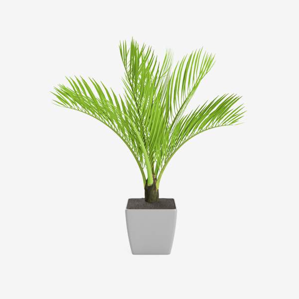 Sony KD55X72 55-Inch  4k Ultra HD