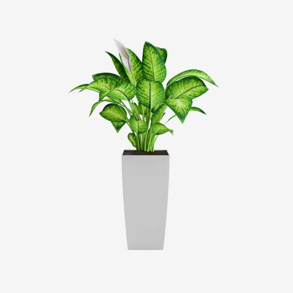 Beats EP Wired Headphone-Black