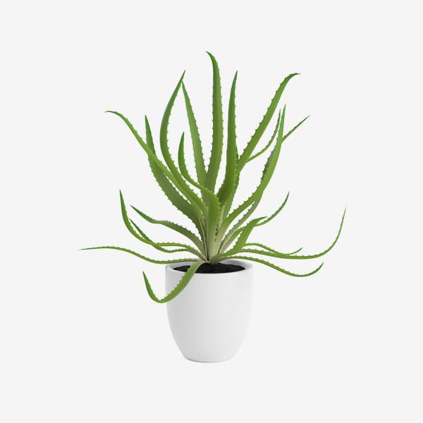 Beats Solo Wireless On-Ear Headphone