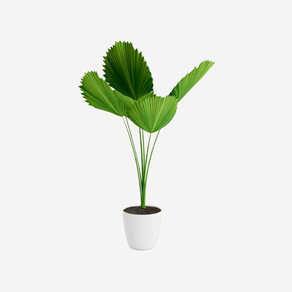 Beats Solo2 Solo 2  Wired On-Ear