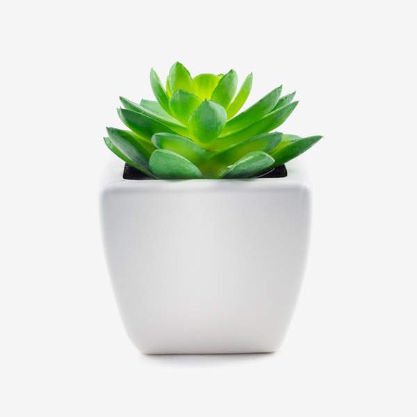 Beats Solo3 Wireless  On-Ear